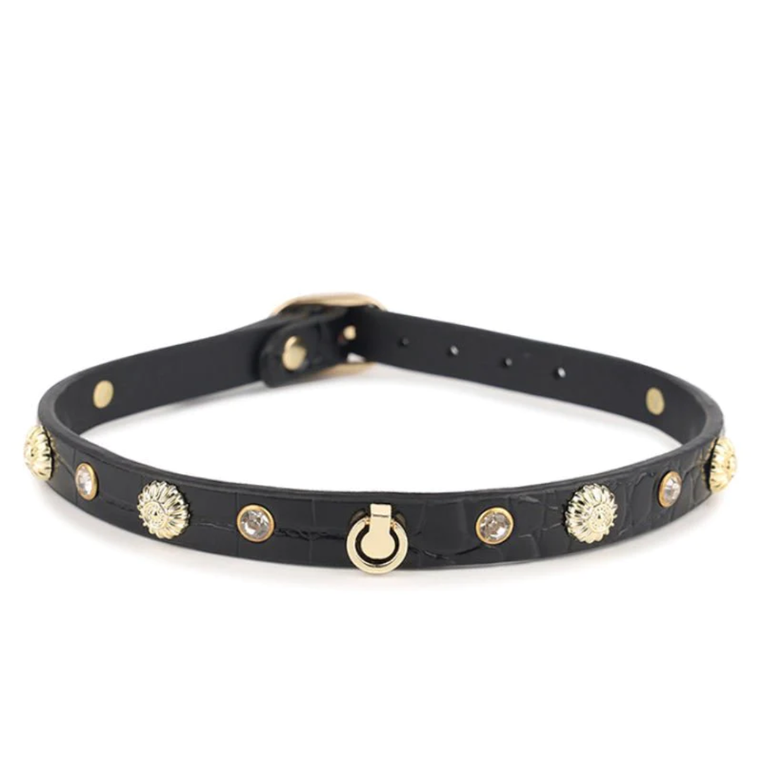 Posh Leather Choker