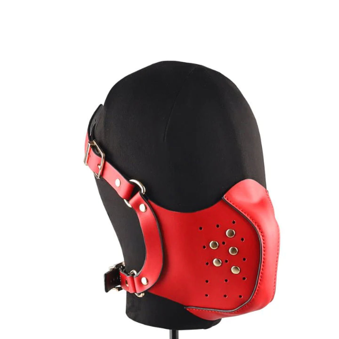 BDSM Slave Muzzle