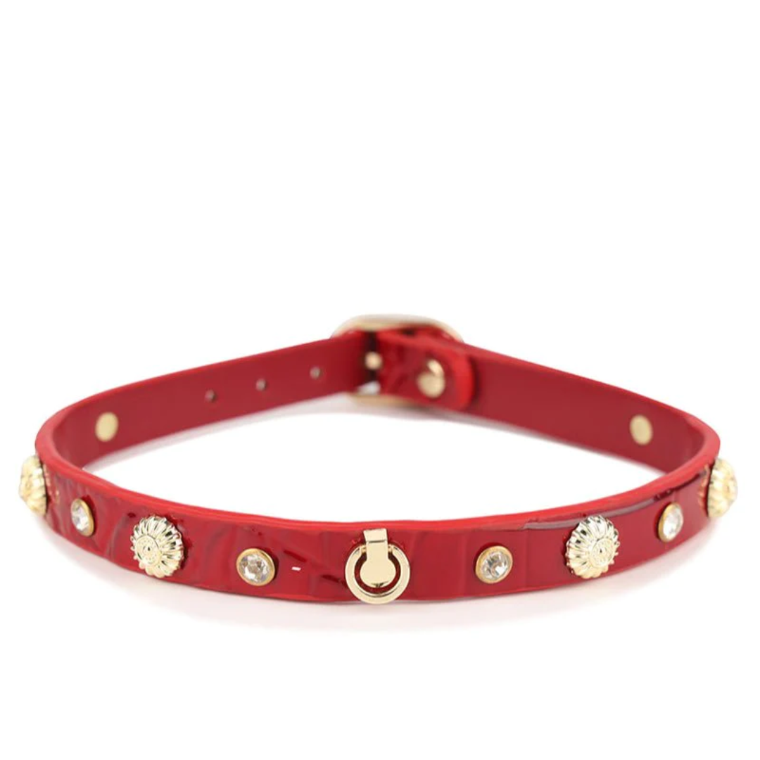 Posh Leather Choker