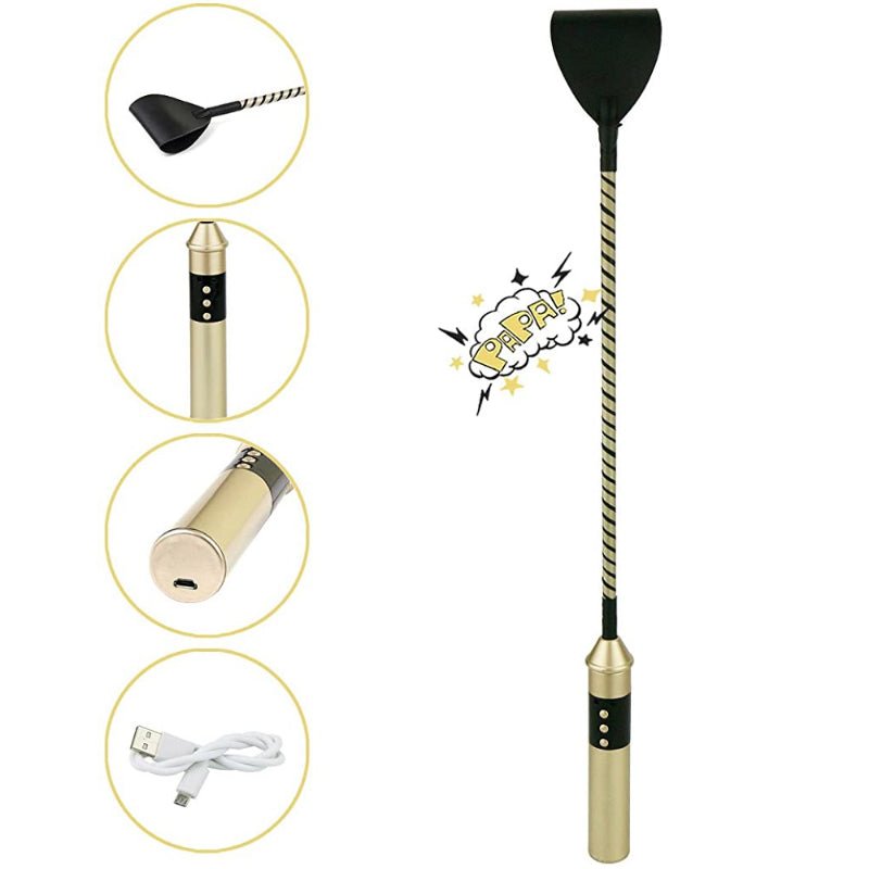 Roomfun - Electric Whip - FRISKY BUSINESS SG