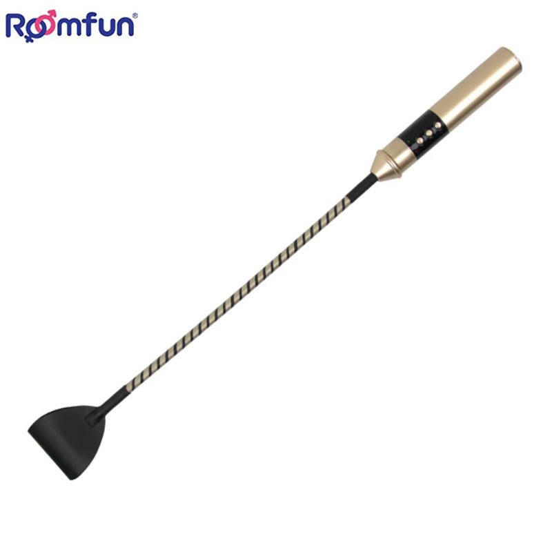 Roomfun - Electric Whip - FRISKY BUSINESS SG