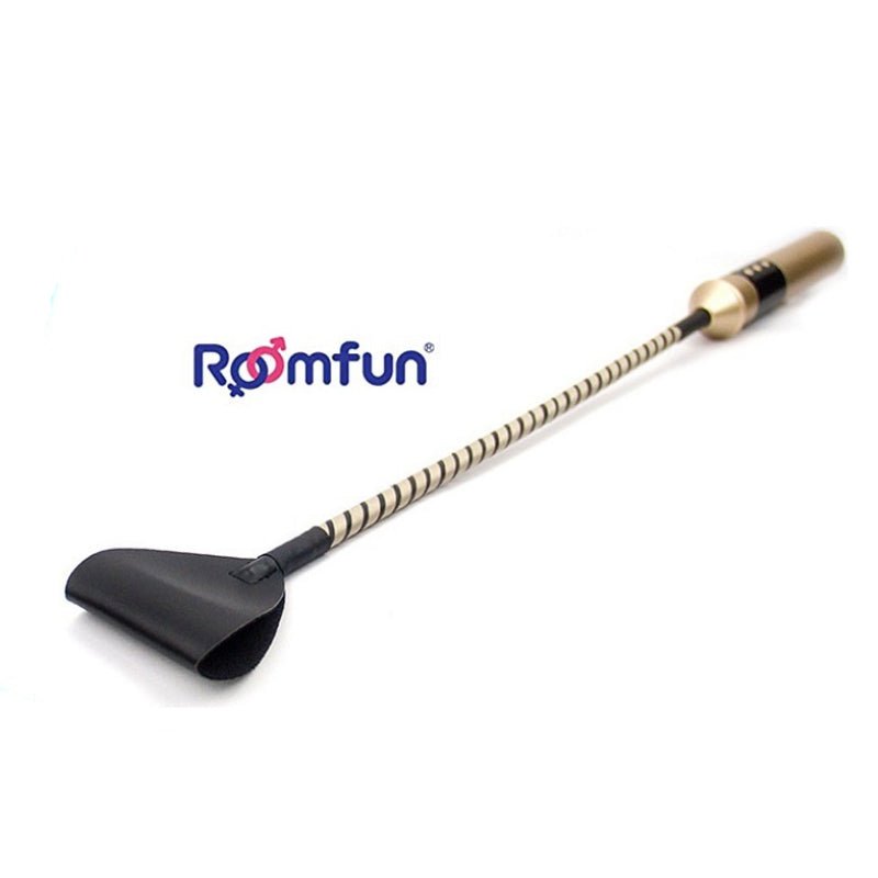 Roomfun - Electric Whip - FRISKY BUSINESS SG