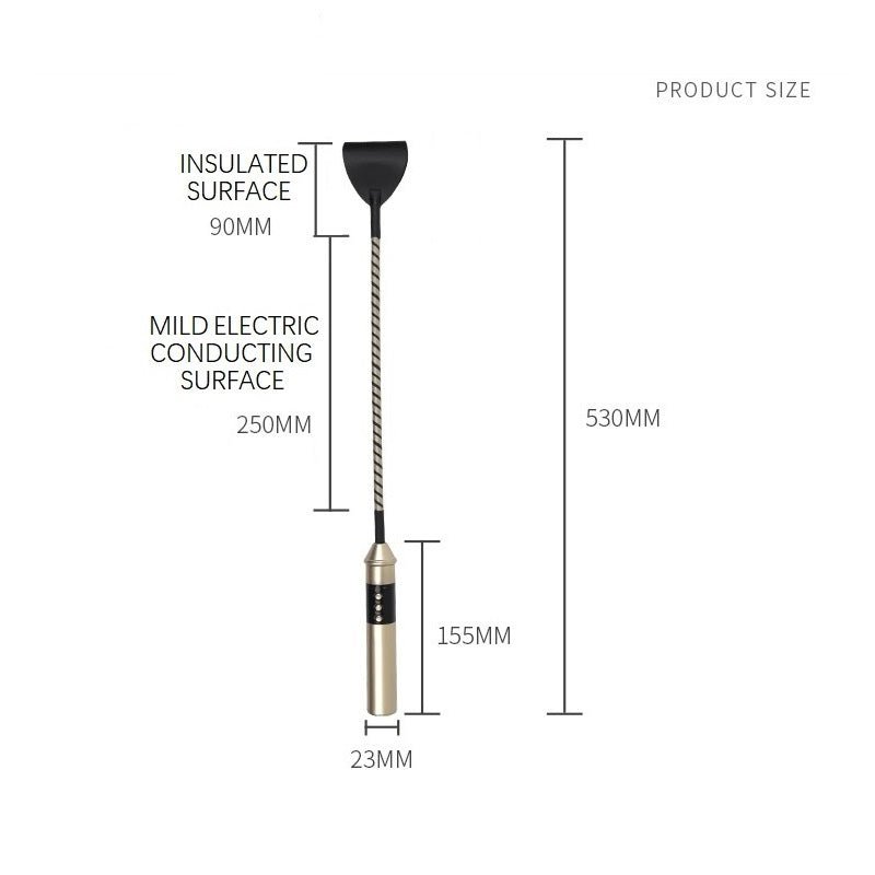 Roomfun - Electric Whip - FRISKY BUSINESS SG