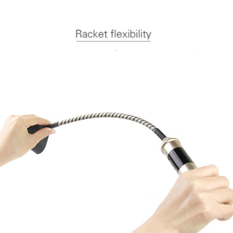 Roomfun - Electric Whip - FRISKY BUSINESS SG