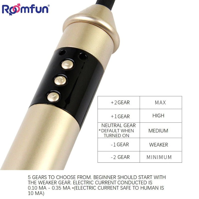 Roomfun - Electric Whip - FRISKY BUSINESS SG