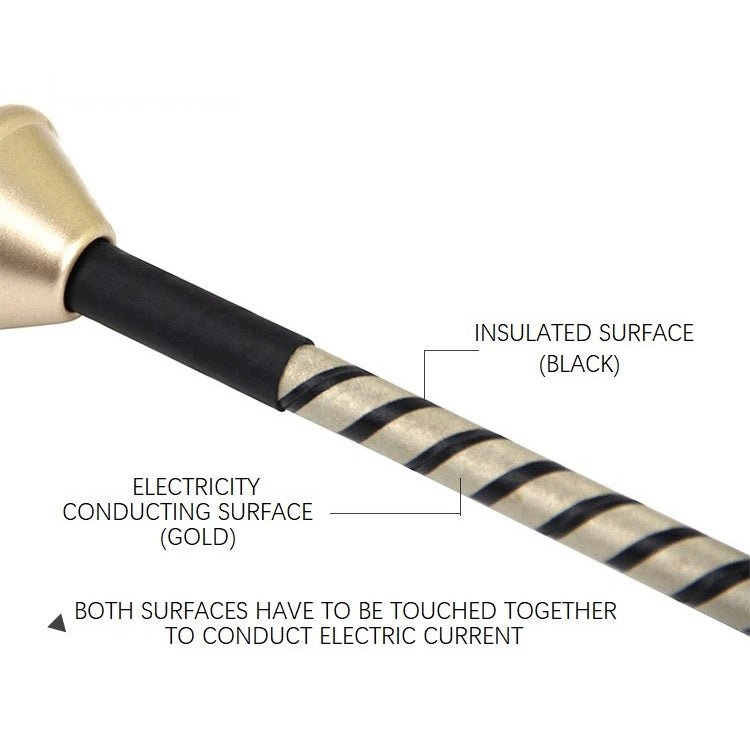 Roomfun - Electric Whip - FRISKY BUSINESS SG