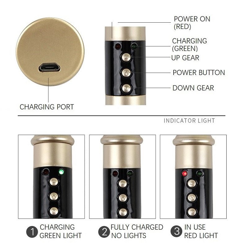 Roomfun - Electric Whip - FRISKY BUSINESS SG